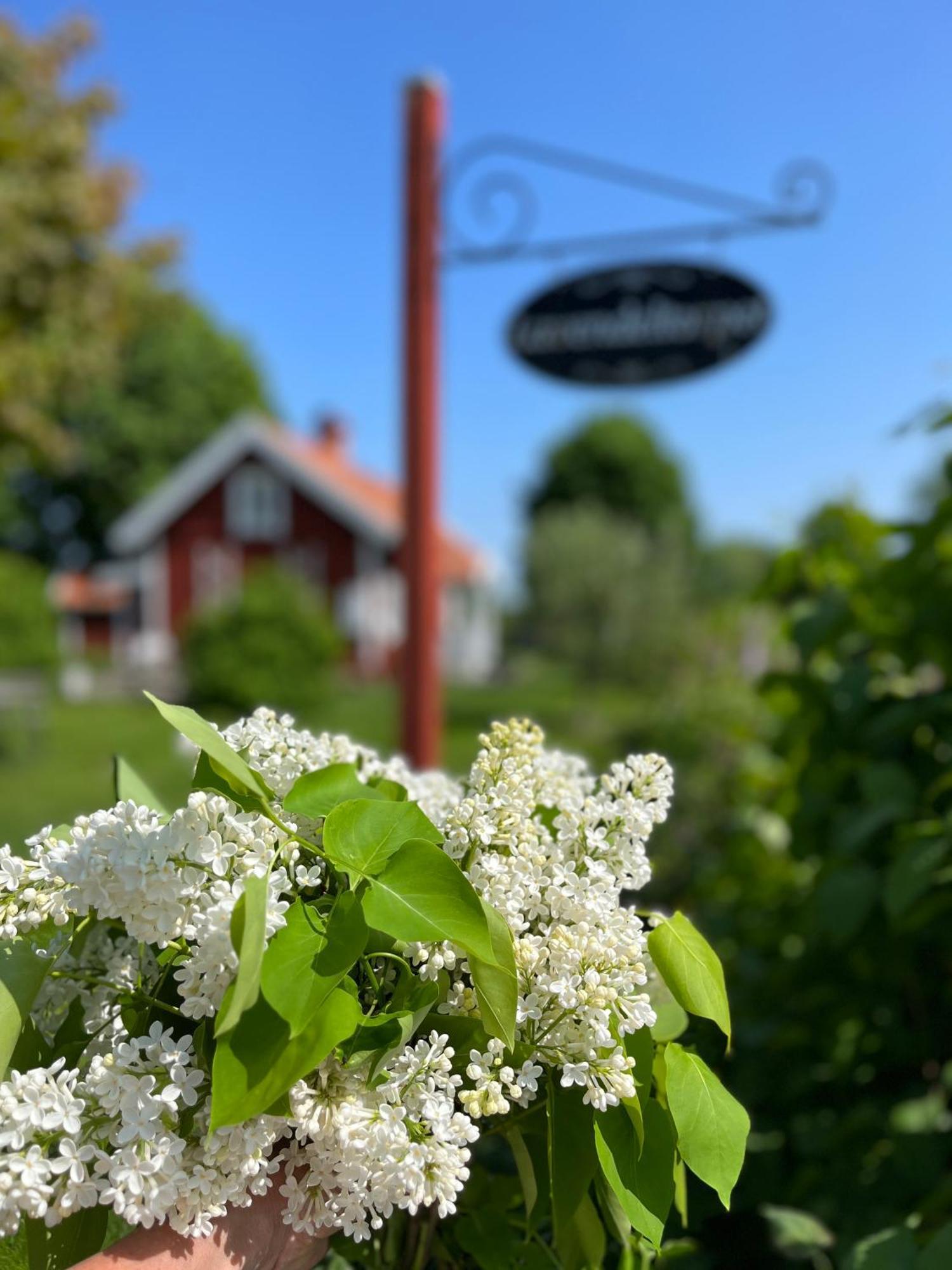 Bed and Breakfast Lavendeltorpet Haggum Exteriér fotografie
